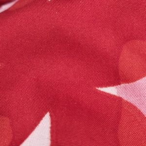 Meet your Posher, Meenakshi